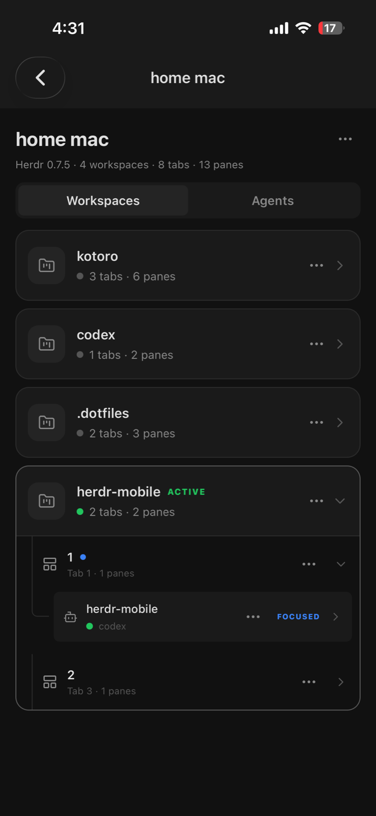 Herdr workspace, tab, and pane hierarchy on iPhone